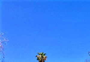 Newport Village | Costa Mesa, CA | Tennis Courts